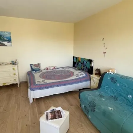 Studio With Balcony 250m From The Beach * أنتيب